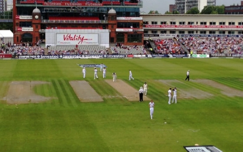 cricket exchange at Cricketbet9 body image